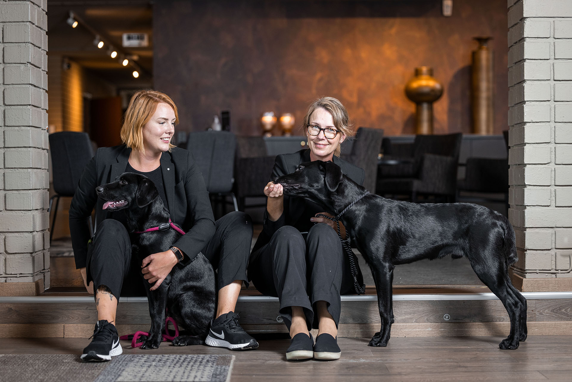 Hundvänligt hotell