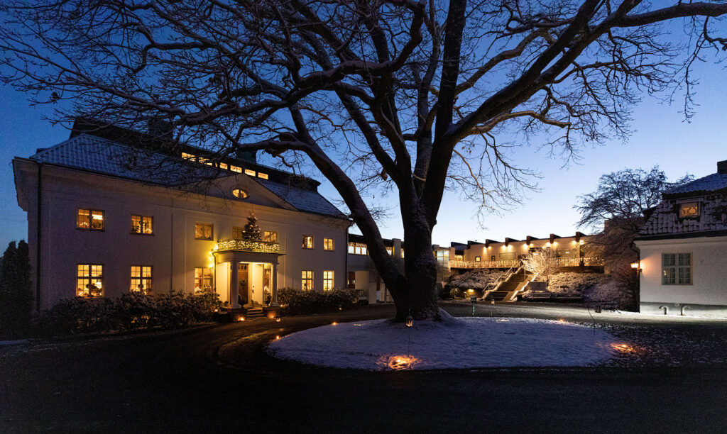 Stora eken vinter